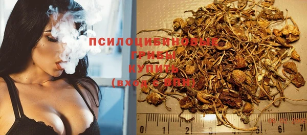 a pvp Балахна