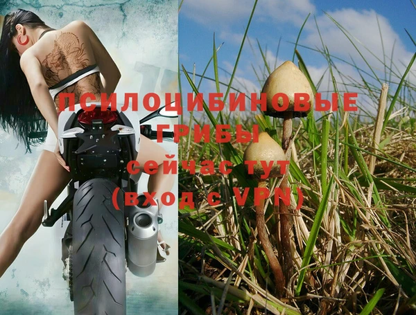 a pvp Балахна