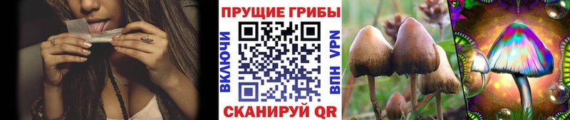 Галлюциногенные грибы Magic Shrooms  Саянск 